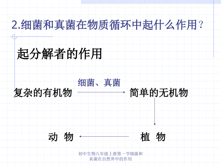 初中生物八年级上册第一节细菌和真菌在自然界中的作用课件_第4页