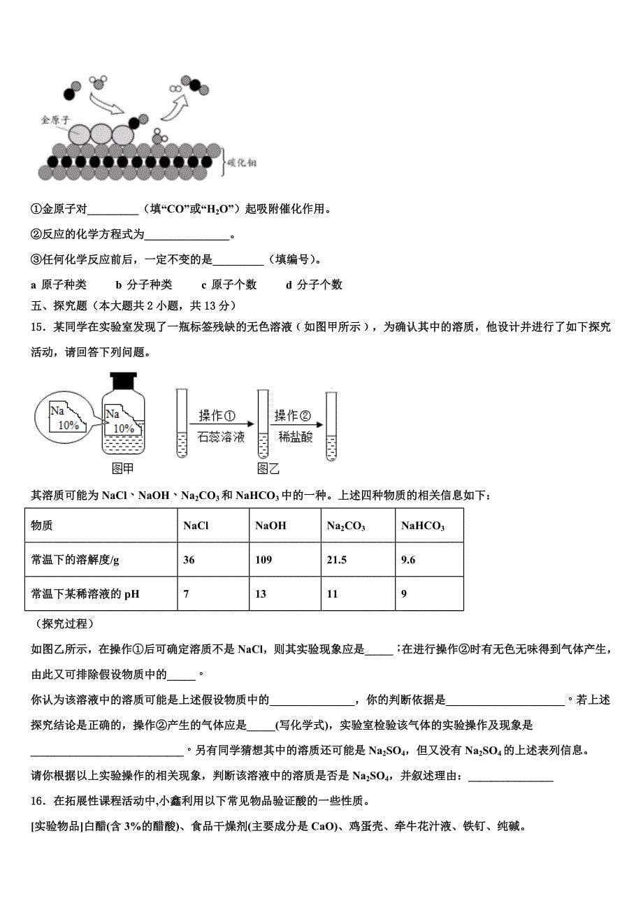 江苏省苏州市张家港市梁丰高级中学2023年中考化学全真模拟试题（含解析）.doc_第5页