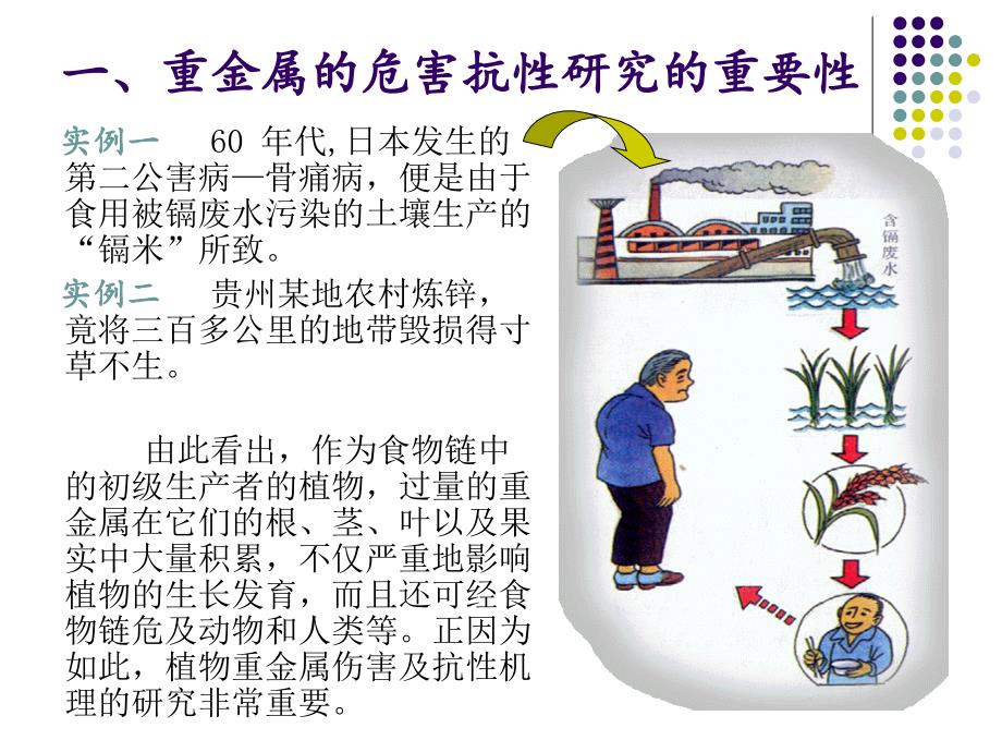 植物重金属伤害及其抗性机理_第3页