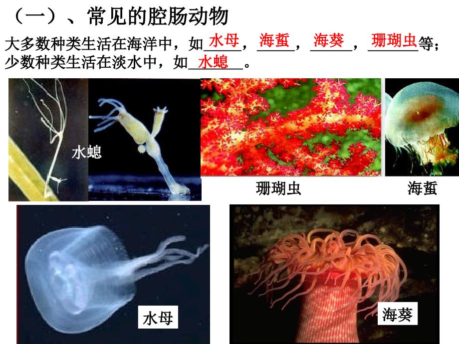 5第一章第一节_第3页