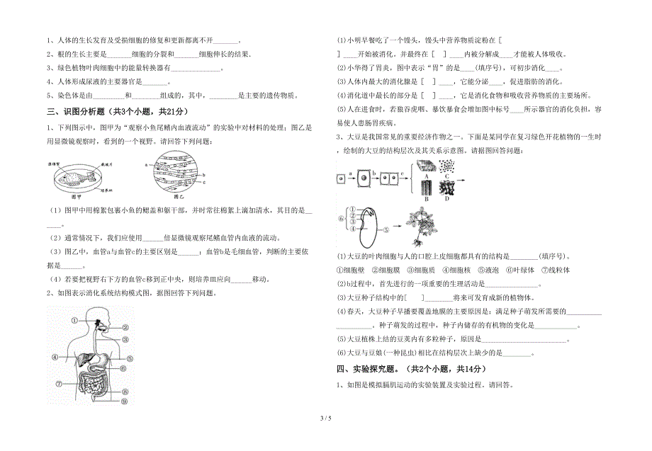 冀教版七年级生物(上册)期末考试及答案.doc_第3页