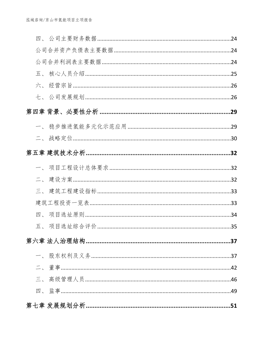 京山市氢能项目立项报告（模板范本）_第2页