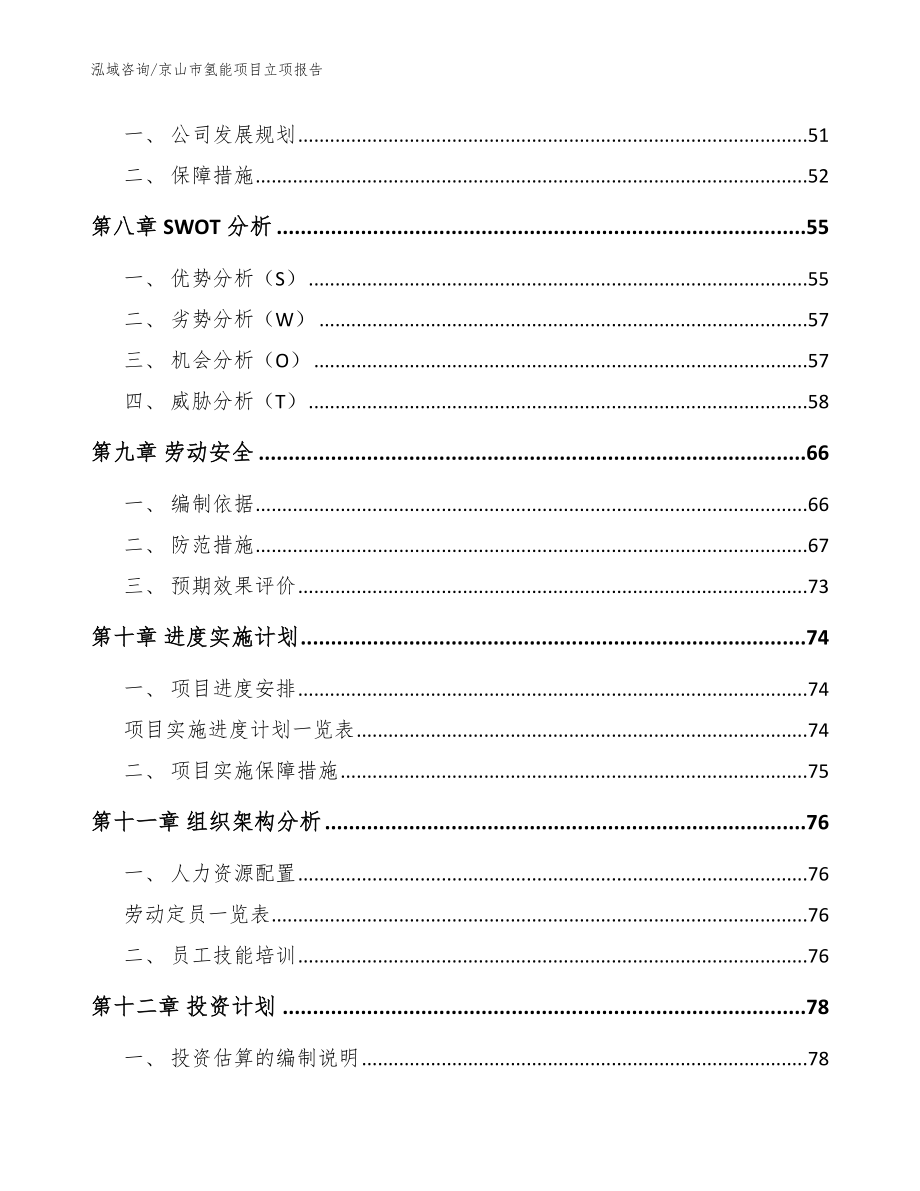 京山市氢能项目立项报告（模板范本）_第3页