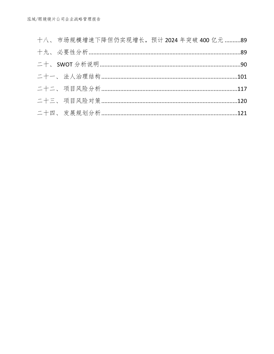 眼镜镜片公司企业战略管理报告_第2页