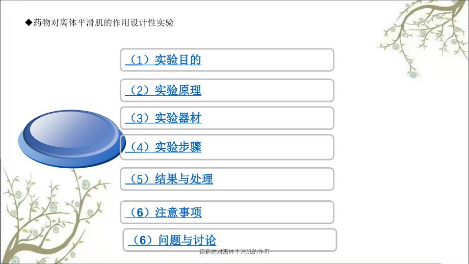 组药物对离体平滑肌的作用_第2页