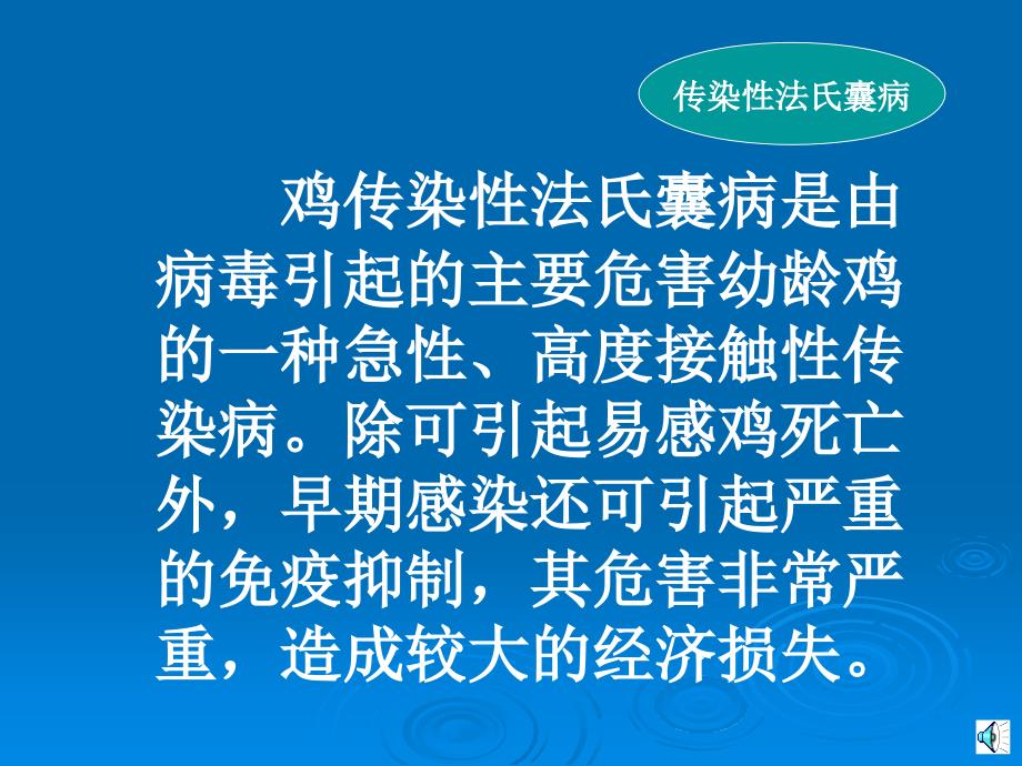 鸡传染性法氏囊病.ppt_第2页