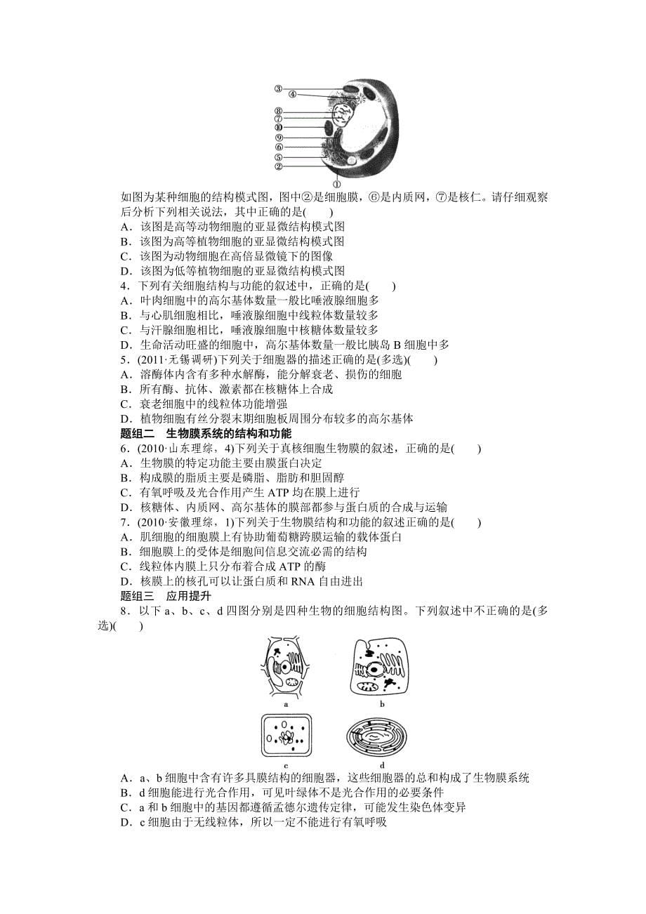 第二单元学案6　细胞器——系统内的分工合作 (2)_第5页