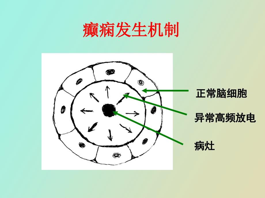 抗癫痫药及抗惊厥药_第3页