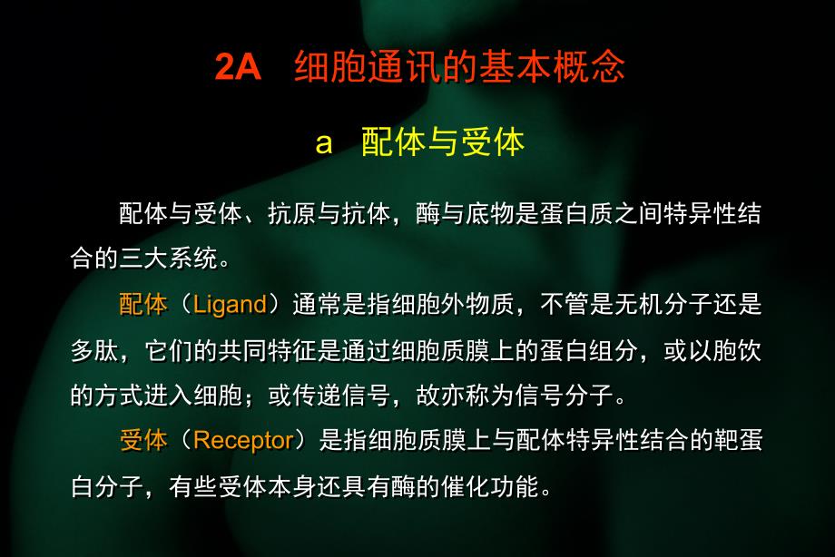 过程分子生物学2_第4页