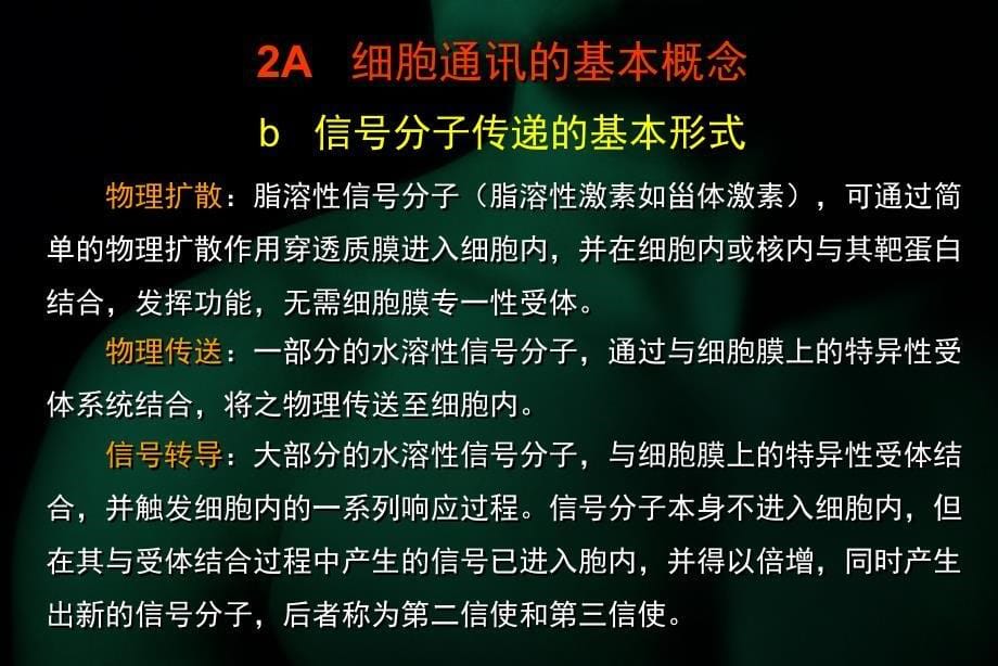 过程分子生物学2_第5页