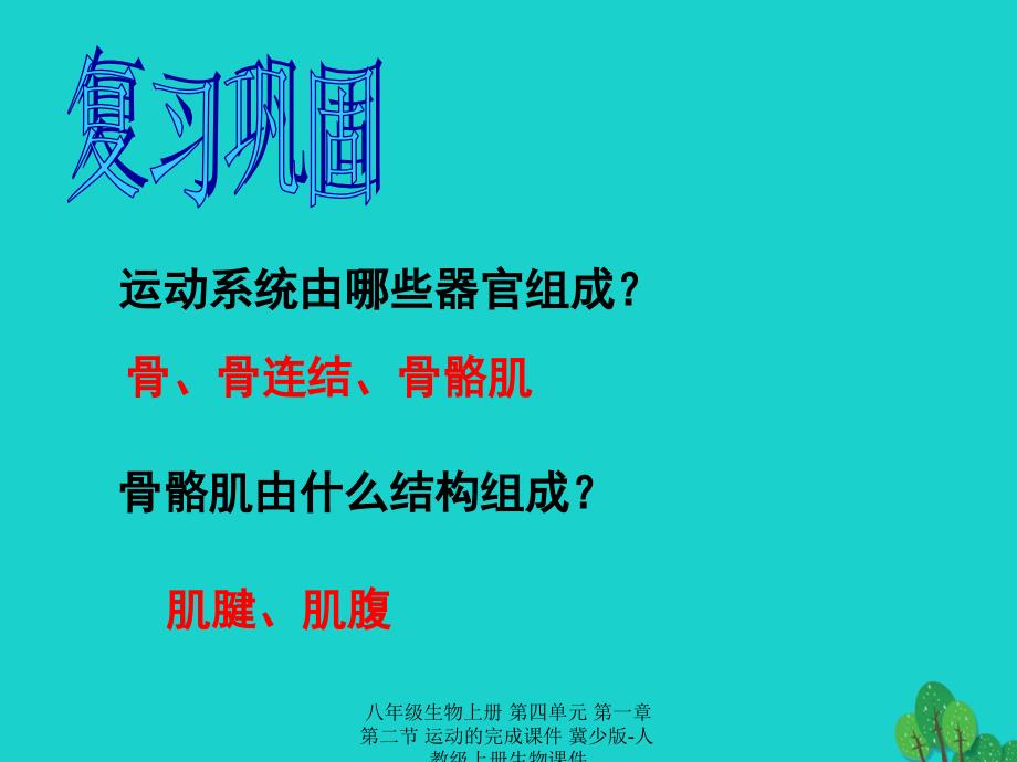 最新八年级生物上册第四单元第一章第二节运动的完成课件_第1页