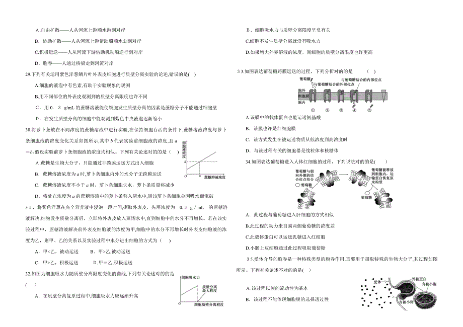 物质的跨膜运输的实例及方式练习_第4页