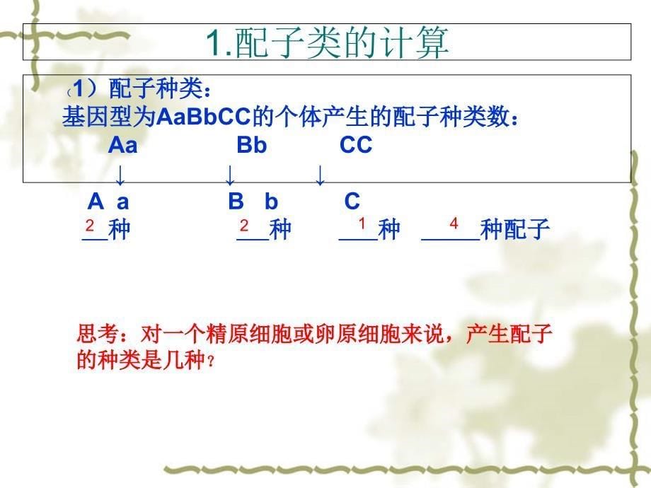 高中生物必修二自由组合解题方法CLP_第5页