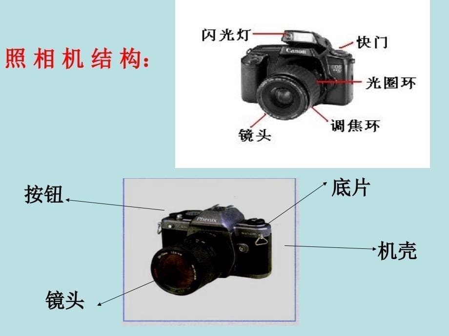 中卫二中生活中透镜解析_第5页