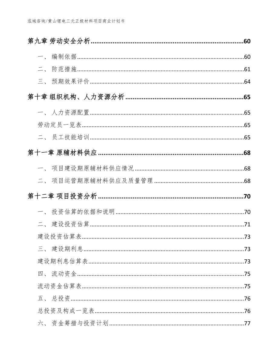 黄山锂电三元正极材料项目商业计划书（模板参考）_第3页