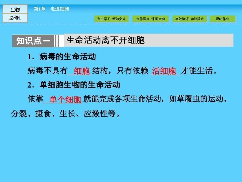 人教版高中生物必修一：1.1从生物圈到细胞ppt课件_第5页