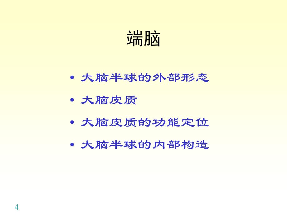 语言的生物基础14中枢神经系统端脑_第4页