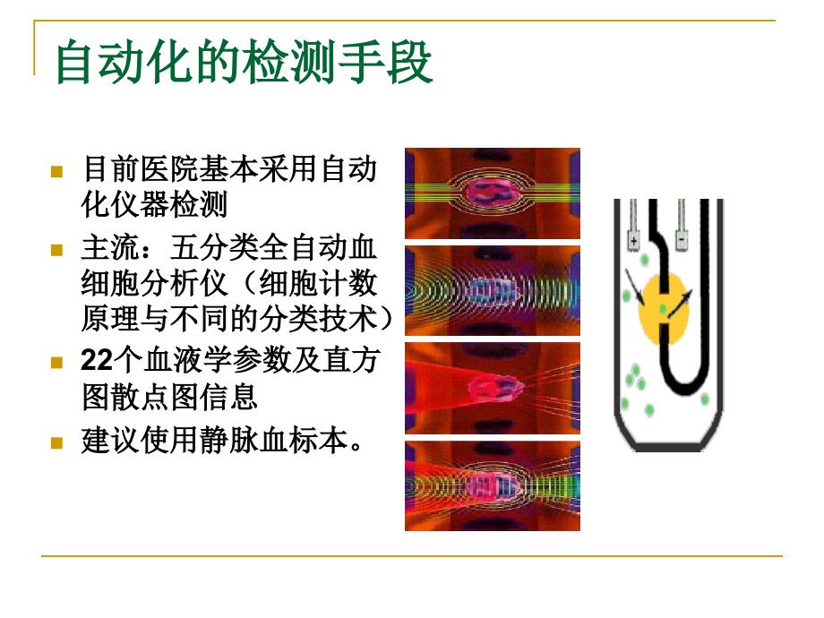 一般血液检查ppt课件_第4页