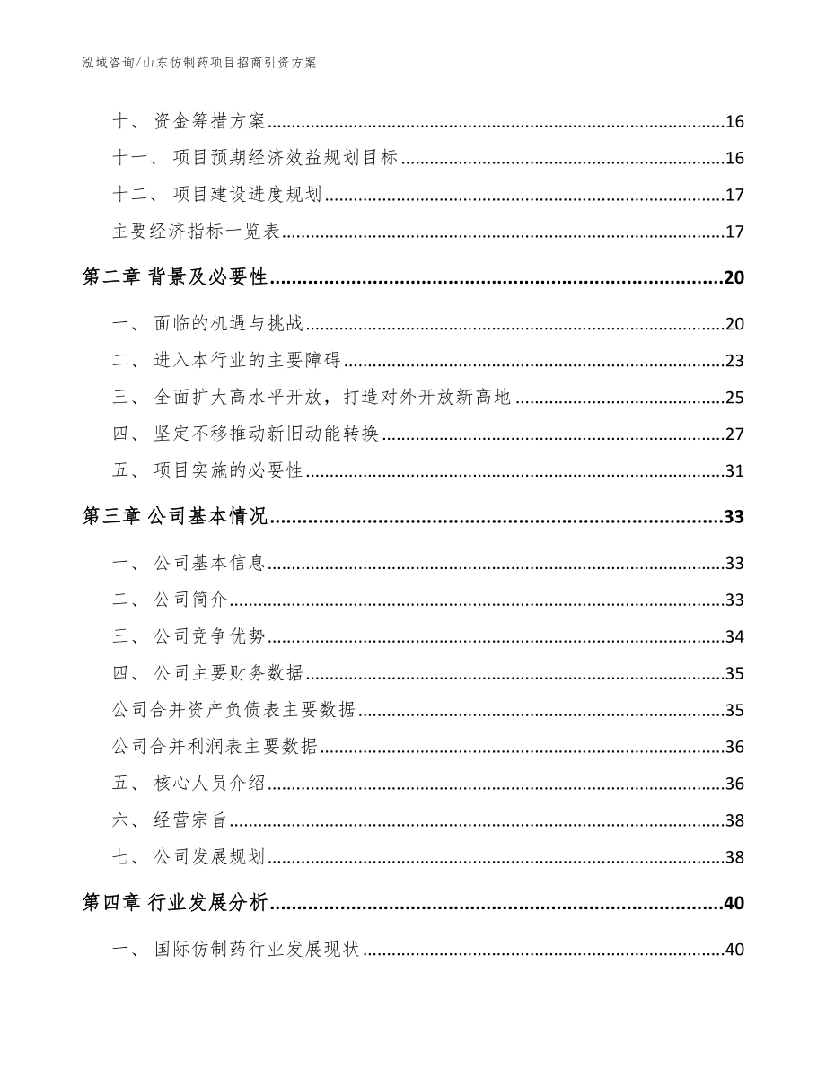 山东仿制药项目招商引资方案【模板】_第4页