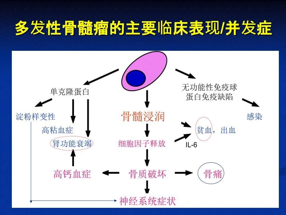 多发性骨髓瘤的诊断与治疗_第5页