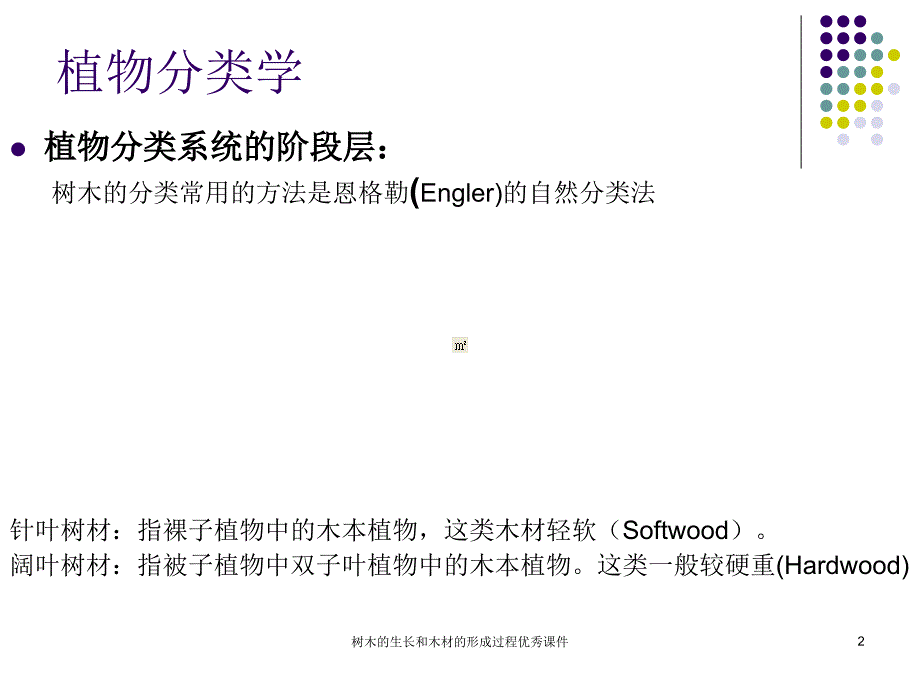 树木的生长和木材的形成过程优秀课件_第2页