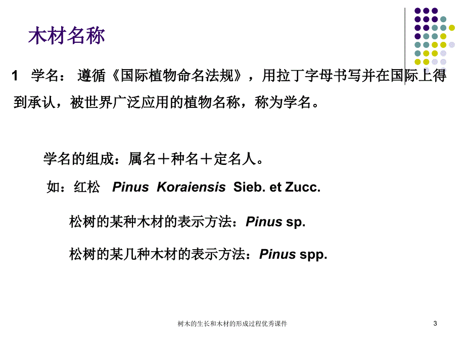 树木的生长和木材的形成过程优秀课件_第3页