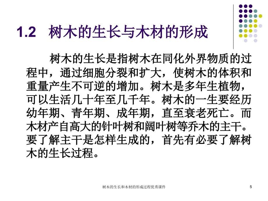 树木的生长和木材的形成过程优秀课件_第5页