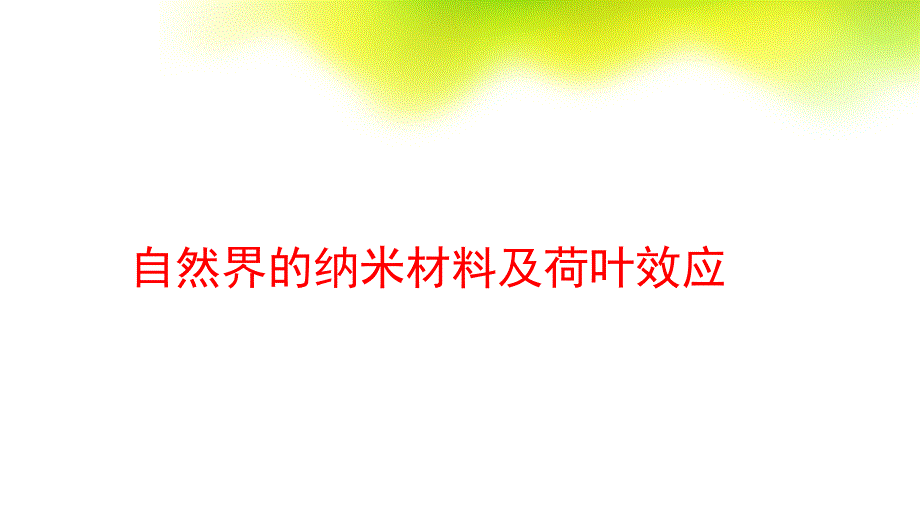 自然界的纳米材料及荷叶效应_第1页