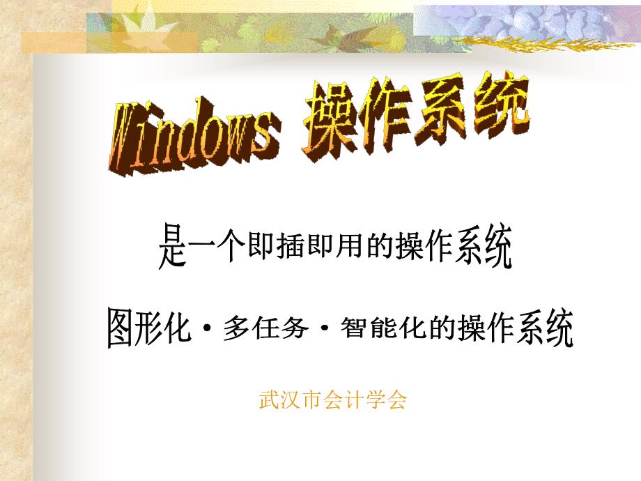 会计从业资格证Windows教程_第1页