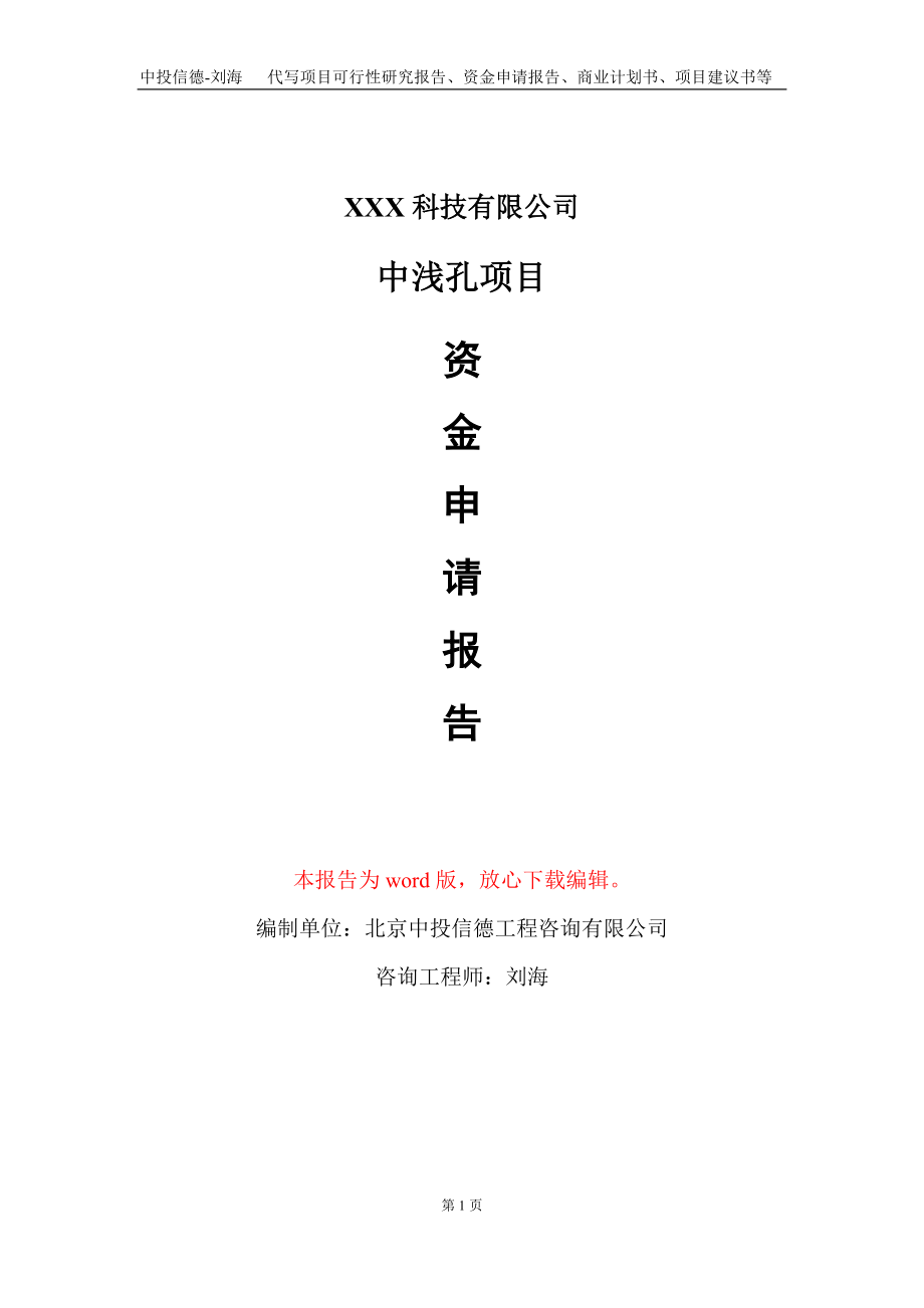 中浅孔项目资金申请报告写作模板-定制代写_第1页