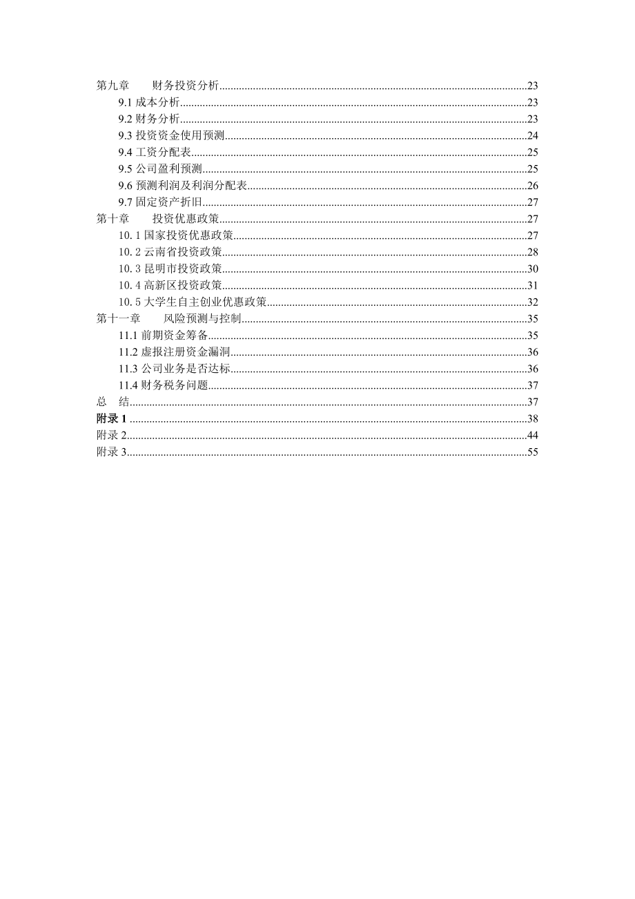 网络服务公司创业计划书_第3页