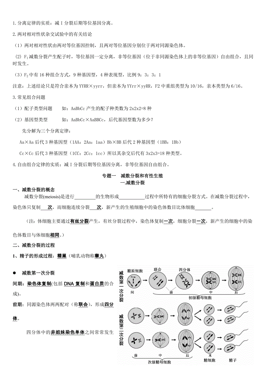 高一生物必修2复习提纲.doc_第2页