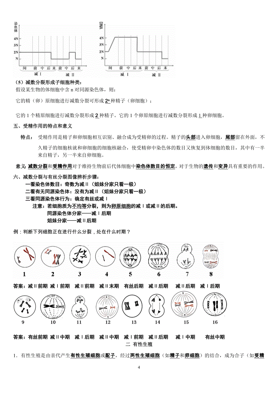 高一生物必修2复习提纲.doc_第4页