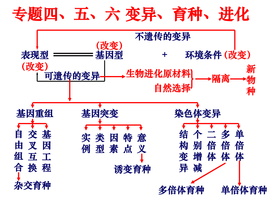 最新变异、育种、进化五六七幻灯片_第2页