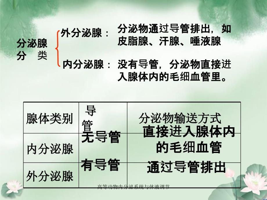 高等动物内分泌系统与体液调节_第4页