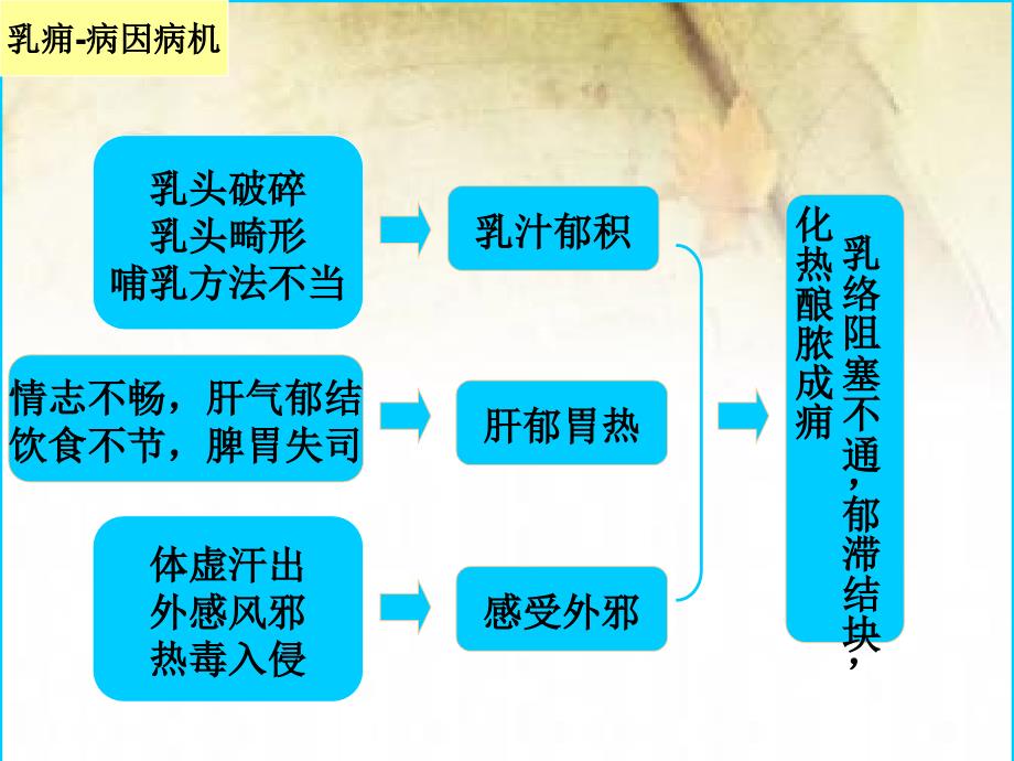 乳痈的中医治疗_第4页