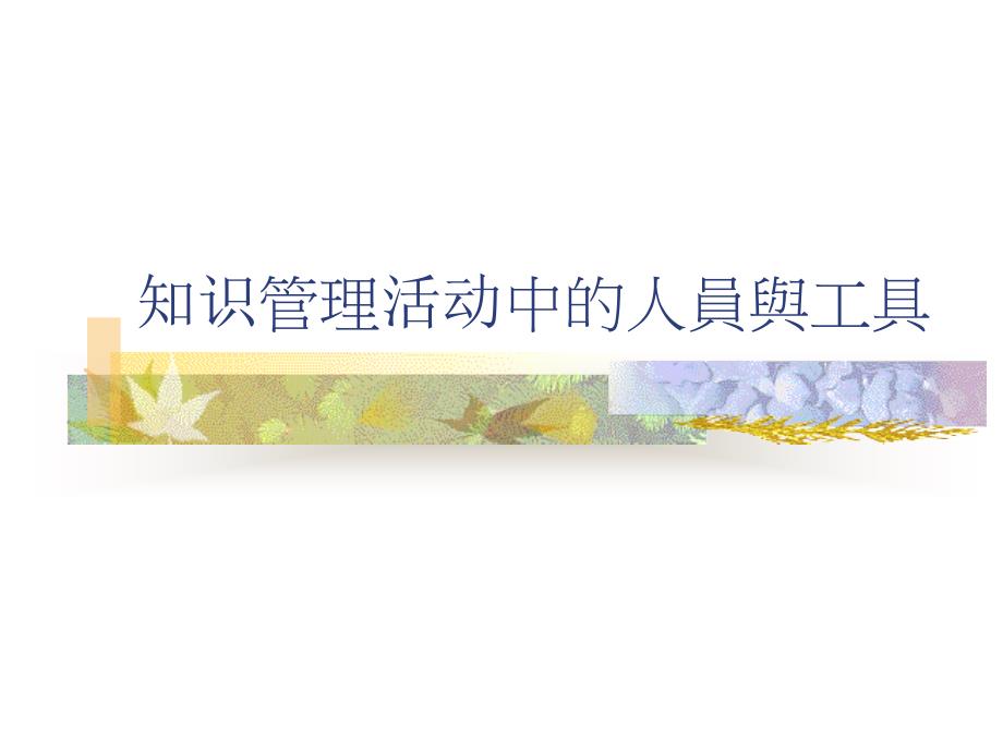 知识管理活动中的人员与工具课件_第1页