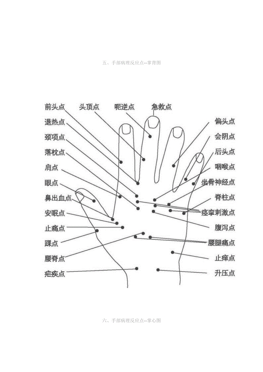 人体全息示意图_第4页