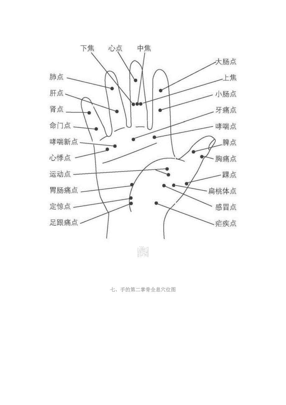 人体全息示意图_第5页