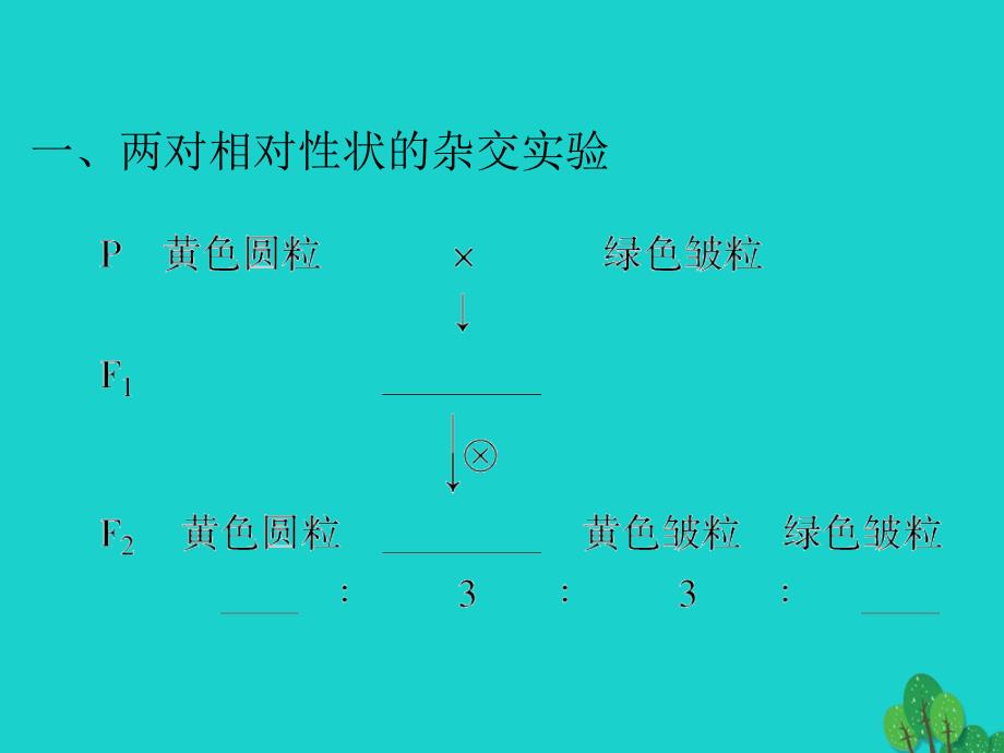 高三生物第一章 盂德尔的豌豆杂交实验（二）（第2课时）（必修2）_第3页