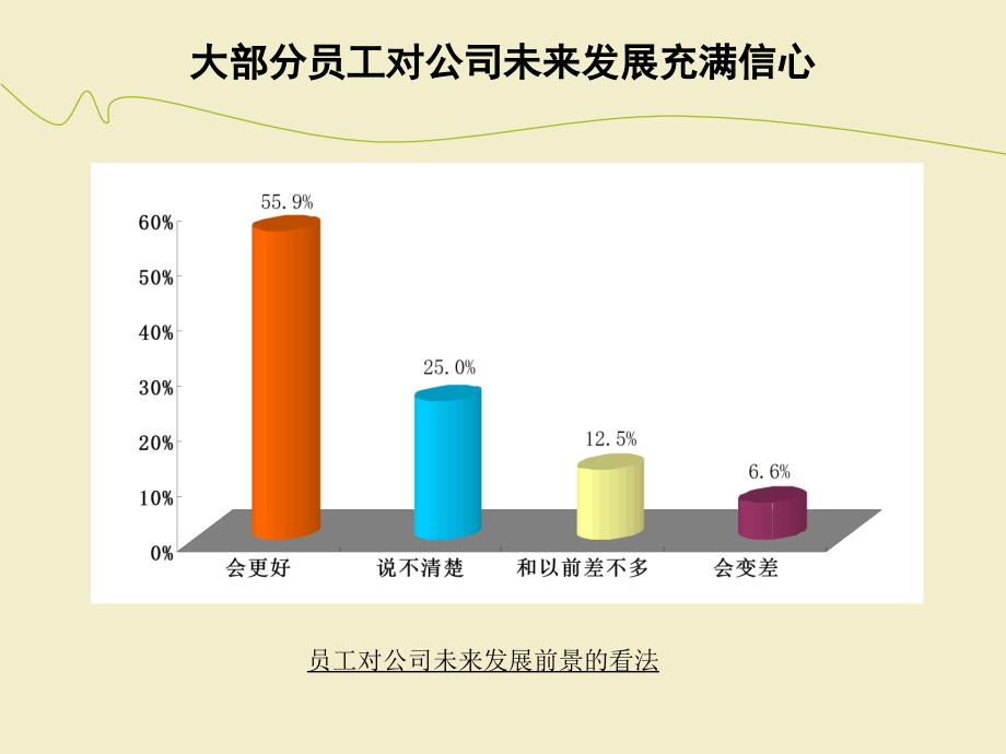 纪元光电项目调查问卷分析报告_第4页