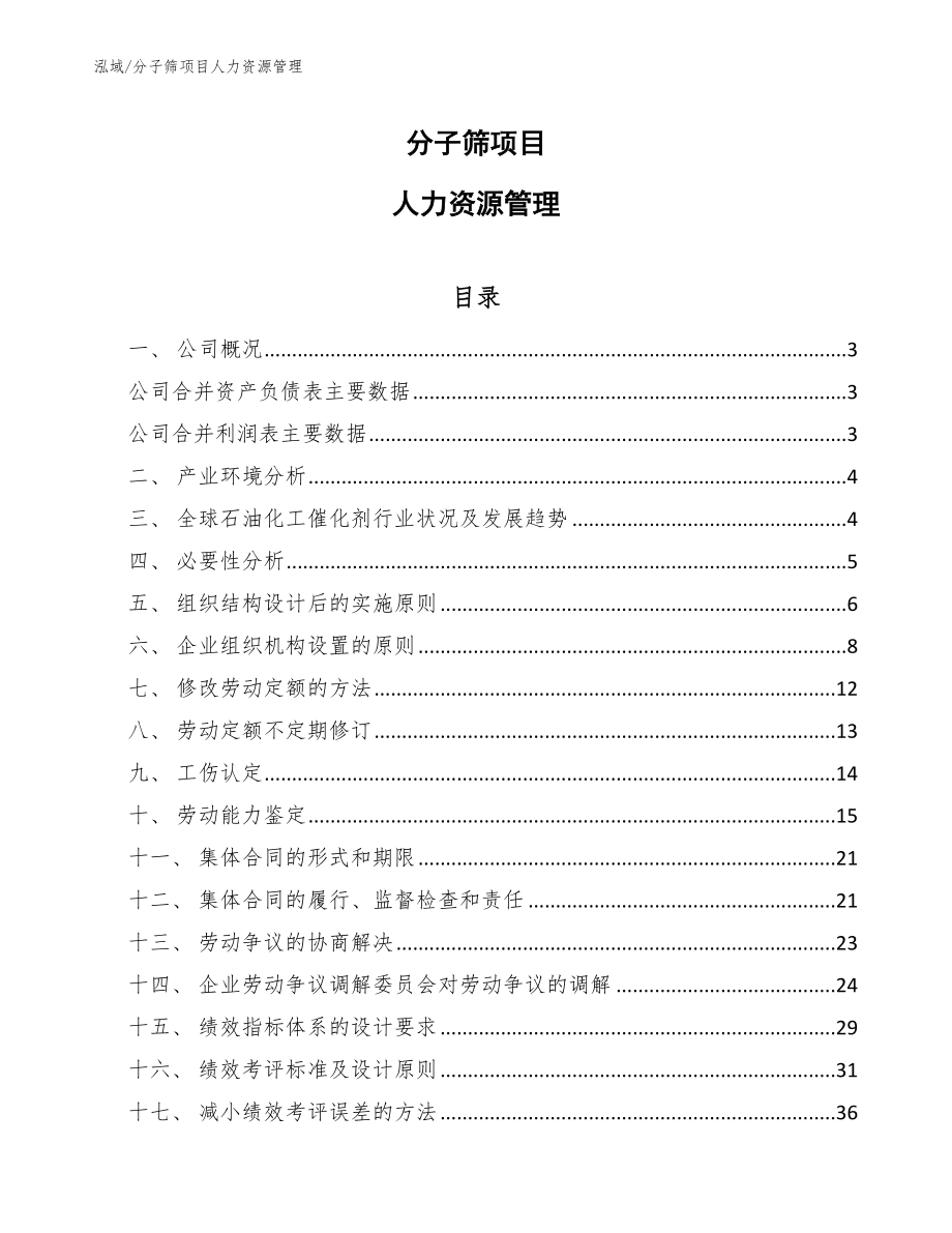 分子筛项目人力资源管理_第1页