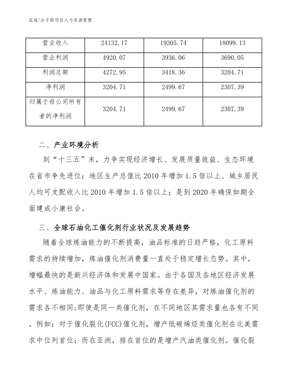 分子筛项目人力资源管理_第4页