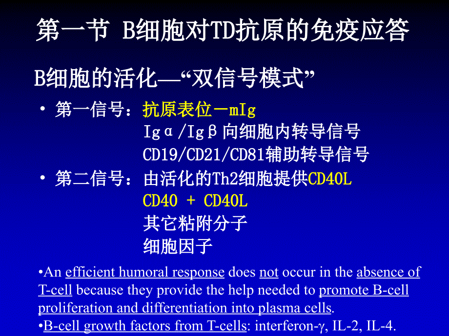 体液免疫ppt课件_第4页