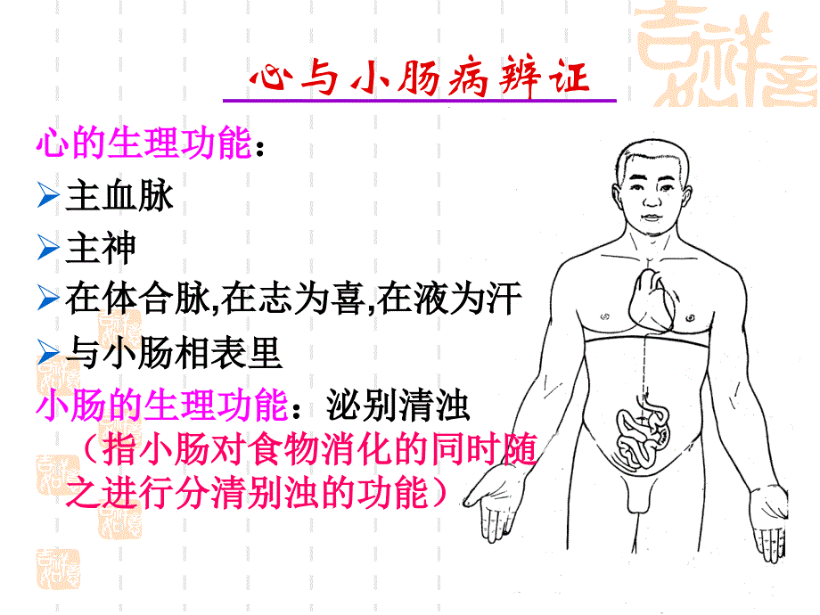 中医里的脏腑辨证说课材料_第4页