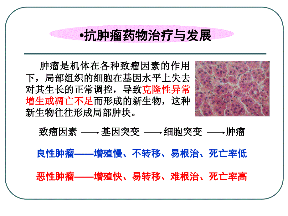 新药理抗肿瘤药研究与开发本课件_第4页