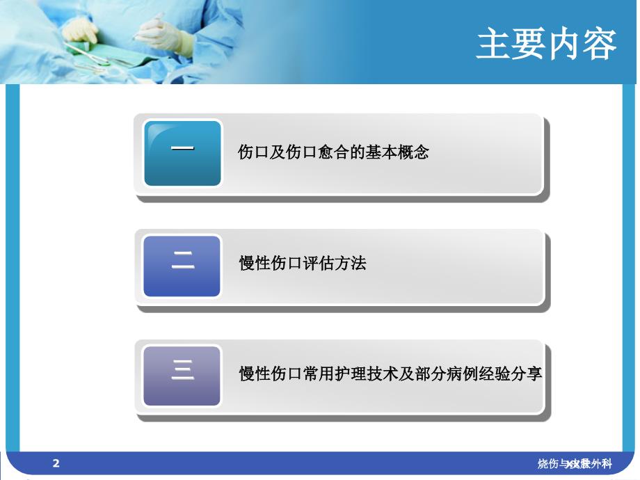 慢性伤口评估及护理ppt课件_第2页