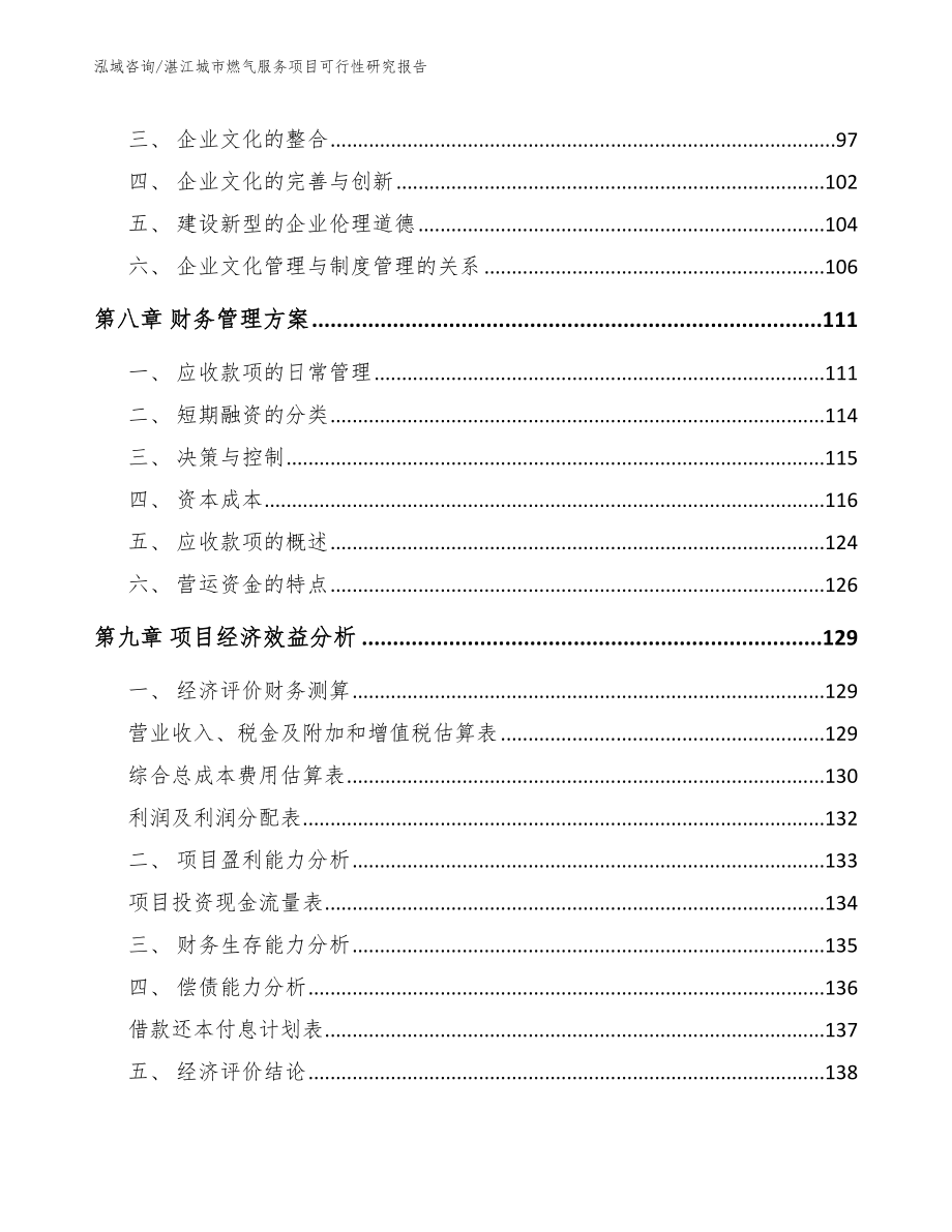 湛江城市燃气服务项目可行性研究报告_第4页