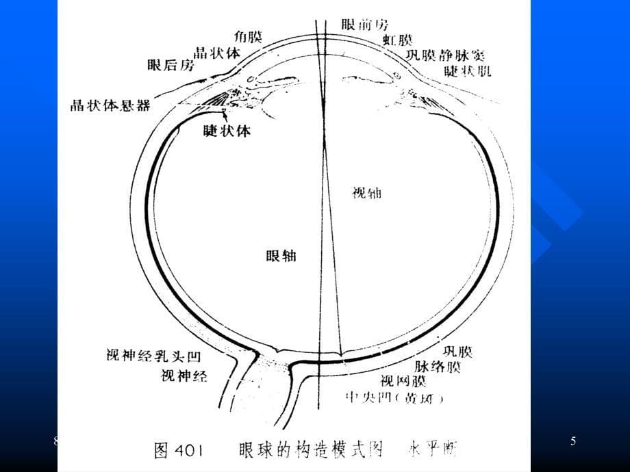 眼损伤法医学鉴定_第5页