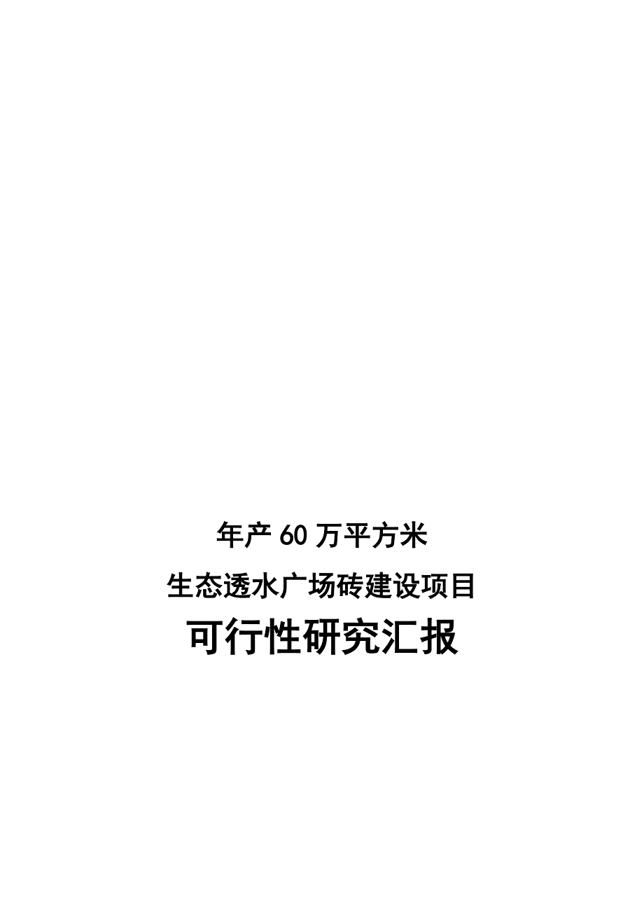 产万平方米生态透水广场砖建设项目可行性研究报告.doc_第1页